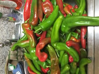 The World S Best Chili Cooks And Amateur Chili Recipes